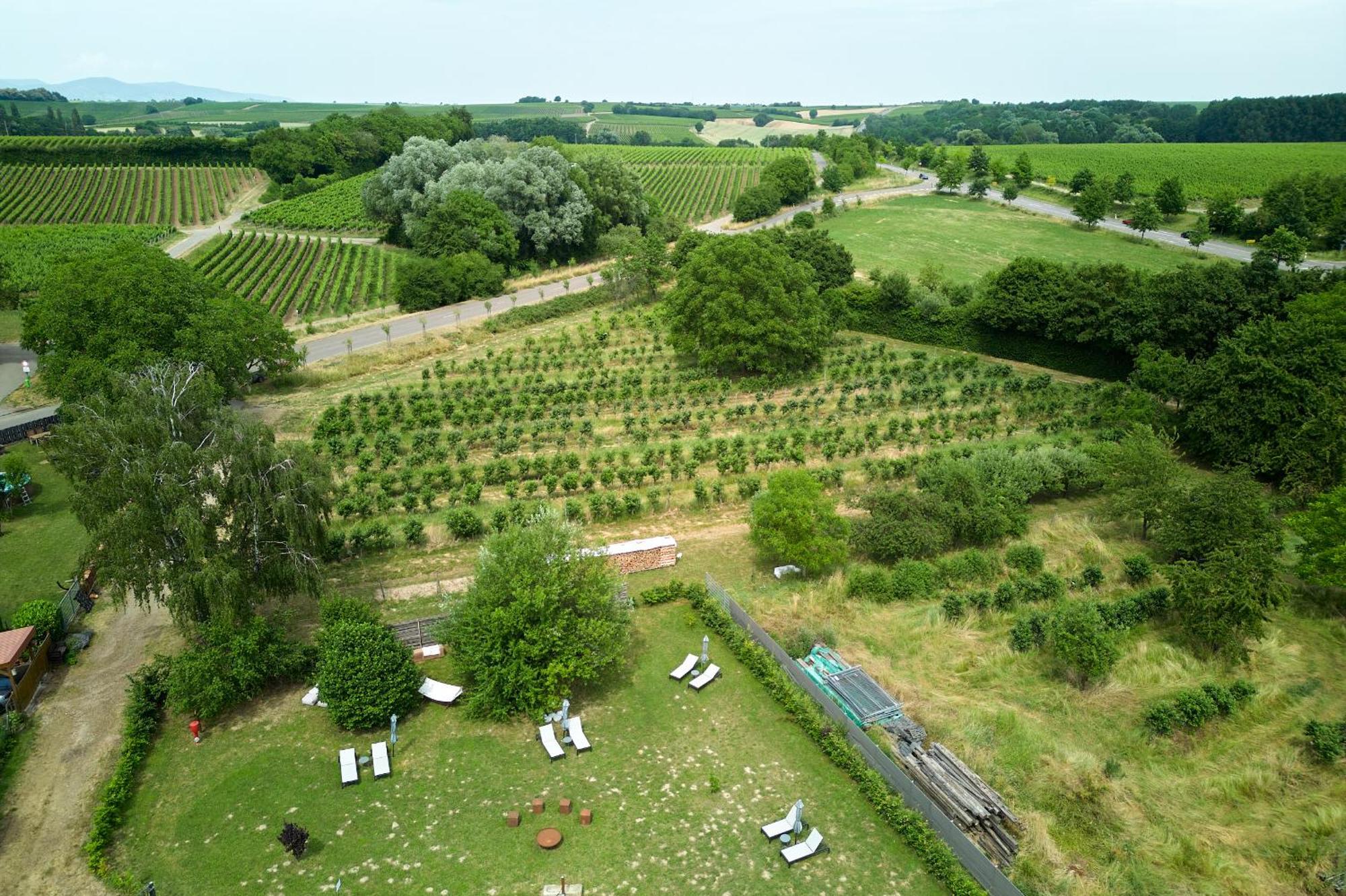 Niederhorbach Weinhotel Fritz Walter מראה חיצוני תמונה