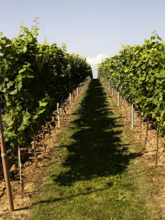 Niederhorbach Weinhotel Fritz Walter מראה חיצוני תמונה